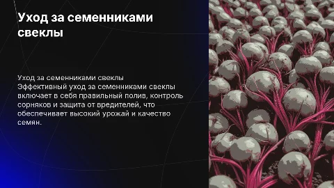 Уход за семенникаи свеклы