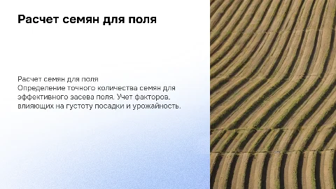 Расчет количество семян для заседании поля