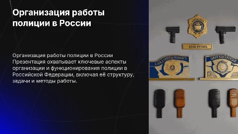 Организация деятельности полиции в РФ