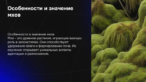 Особенности строения мхов и их значение для природы