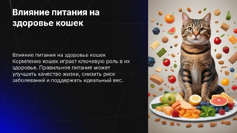 Влияния кормления кошек на их здоровья