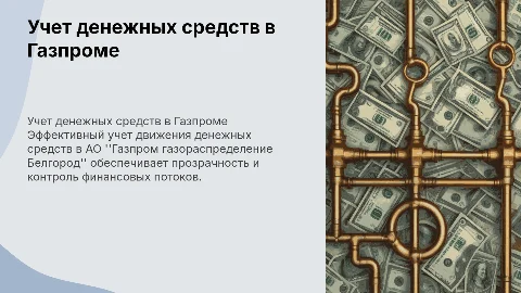 Учет движения денежных средств в АО Газпром
