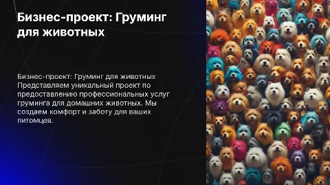 Собственный бизнес-проект по услуге Груминг животным