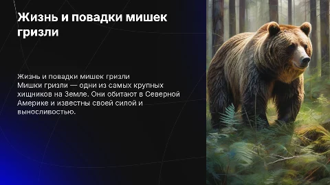 мишки гризли