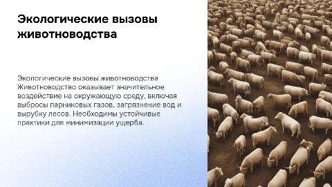 Экологические проблемы отраслей животноводства