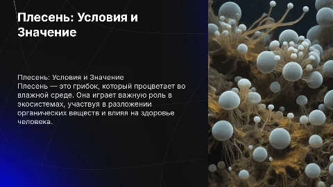 плесень условия возникновения и роль в жизни человека
