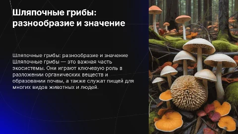 Шляпочные грибы