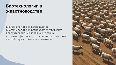 Применение биотехнологий в животноводстве сельского хозяйства