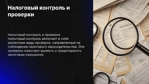 Налоговый контроль. Виды налоговой проверки