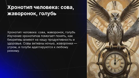 Хронотип человека: сова, жаворонк, голубь