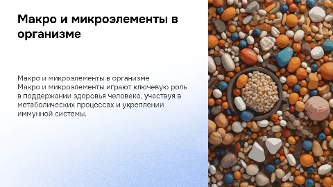 Макро и микроэлементы в жизни человека