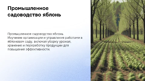 Промышленное садоводство яблоневого сада: организация работ