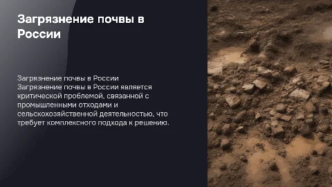 Загрязнение почвы в России