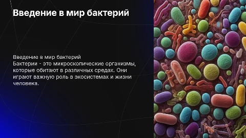 бактерии. 7 класс. очень простая прзентация