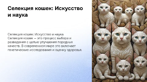 селекция кошек