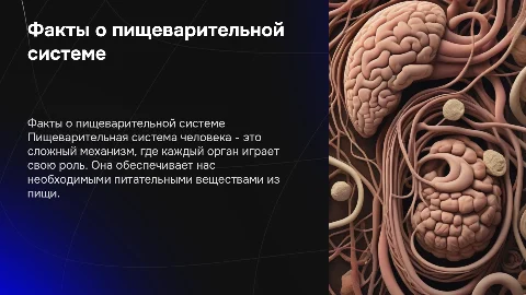 интересные факты о человеческой пищеварительной системе