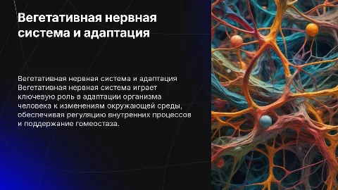Роль вегетативной нервной системы в адаптации организма