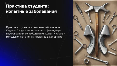 Чему научился студент 2 курса ветеринарного фельдшера