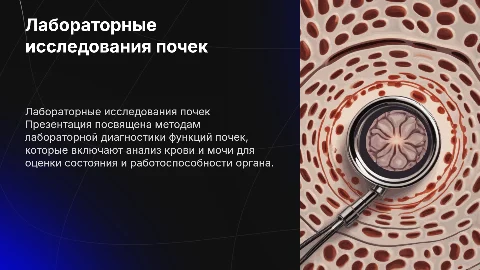 Лабораторные методы исследования функций почек