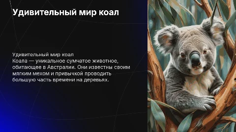 животное коала