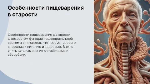 Особенности пищеварительной системы в пожилом возрасте