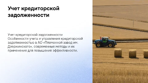 Учет кредиторской задолженности в АО «Племенной завод»