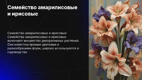 Семейство амарилисовые и ирисовые