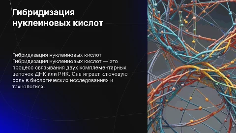Гибридизация нуклеиновых кислот