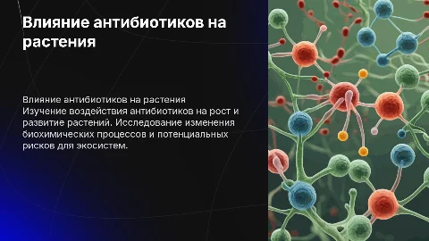 Презентация о влиянии антибиотиков на растения