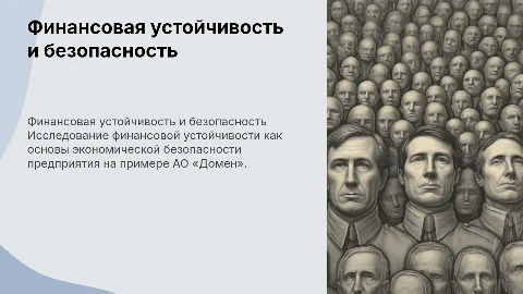 Финансовая устойчивость и экономическая безопасность АО «Домен»