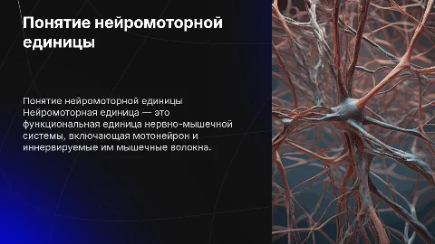 Понятие нейромоторной единицы