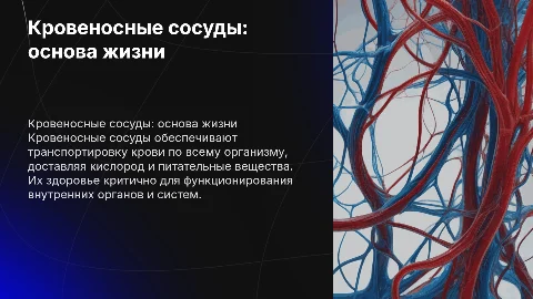 КРОВЕНОСНЫЕ СОСУДЫ
