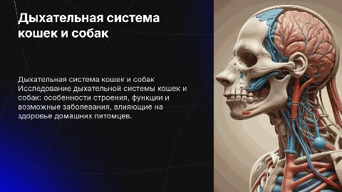 Дыхательная система кошек и собак