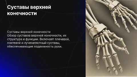 Суставы костей верхней конечности