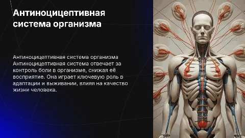 антиноцицептивная система