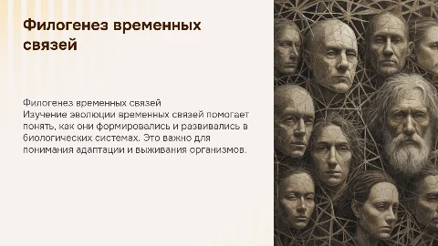 филогенез временных связей