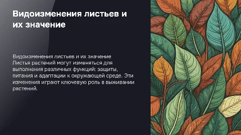 Видоизменения листьев и их роль