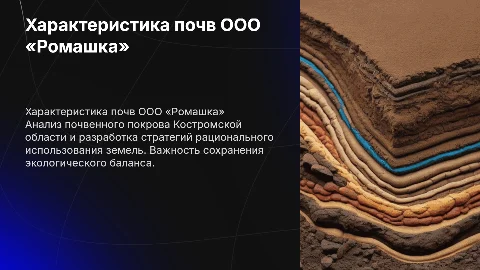 Характеристика почвенного покрова ООО «Ромашка» в Костромской области