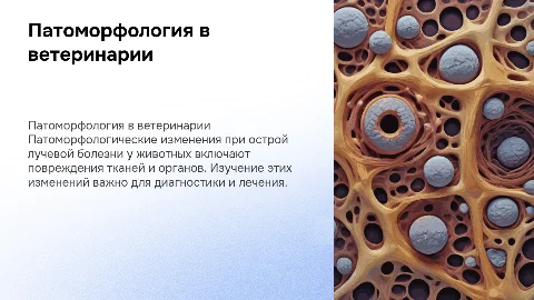 Патоморфологические изменения при острой лучевой болезни