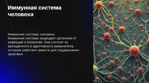 Иммунная система человека. Виды иммунной системы