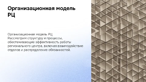 Организационная модель деятельности РЦ