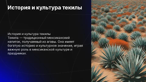 Текила