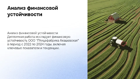 Анализ финансовой устойчивости ООО "Птицефабрика Акашевская"