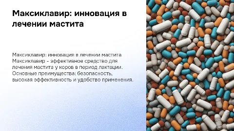Максиклавир для лечения мастита у КРС: преимущества и результаты