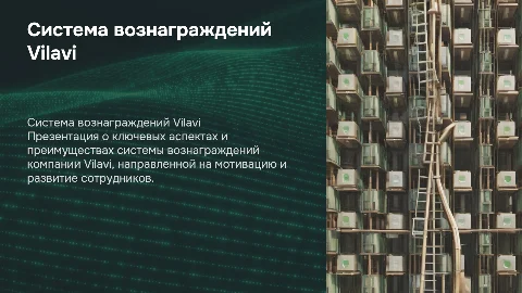 Система вознаграждений компании Vilavi