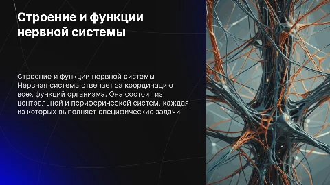 Строение и функции нервной системы