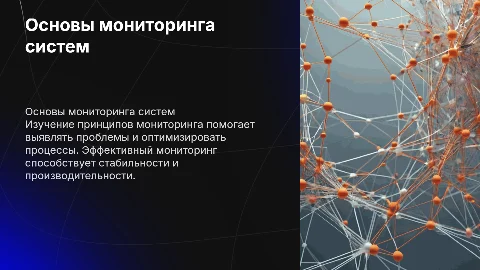 Основные принципы организации мониторинга