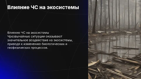 Влияние ЧС на окружающую среду