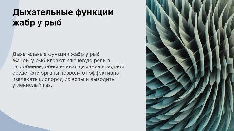 дыхательные функции жабр у рыб