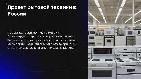 Проект бытовой техники на российском рынке электронной коммерции